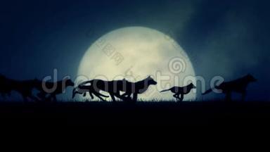 一群狼在升起的满月背景下奔跑